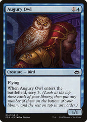 Coruja do Agouro / Augury Owl - Magic: The Gathering - MoxLand