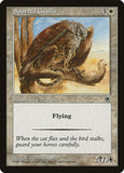 Spotted Griffin / Spotted Griffin - Magic: The Gathering - MoxLand