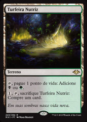 Turfeira Nutriz / Nurturing Peatland - Magic: The Gathering - MoxLand