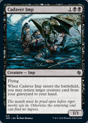 Diabrete dos Cadáveres / Cadaver Imp - Magic: The Gathering - MoxLand