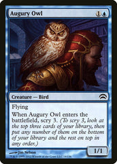 Coruja do Agouro / Augury Owl - Magic: The Gathering - MoxLand