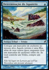 Determinação do Aquateto / Aquitect's Will - Magic: The Gathering - MoxLand