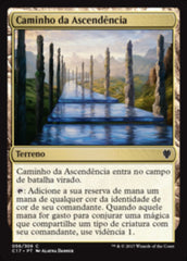 Caminho da Ascendência / Path of Ancestry - Magic: The Gathering - MoxLand