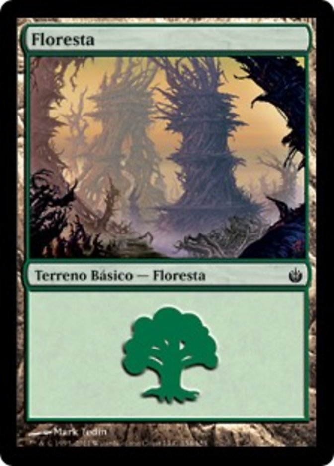 Floresta / Forest - Magic: The Gathering - MoxLand