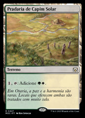 Pradaria de Capim Solar / Sungrass Prairie - Magic: The Gathering - MoxLand