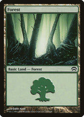 Floresta / Forest - Magic: The Gathering - MoxLand