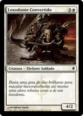 Loxodonte Convertido / Loxodon Convert - Magic: The Gathering - MoxLand