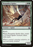 Aranha da Penumbra / Penumbra Spider - Magic: The Gathering - MoxLand