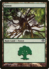 Floresta / Forest - Magic: The Gathering - MoxLand