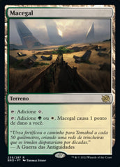 Macegal / Brushland - Magic: The Gathering - MoxLand