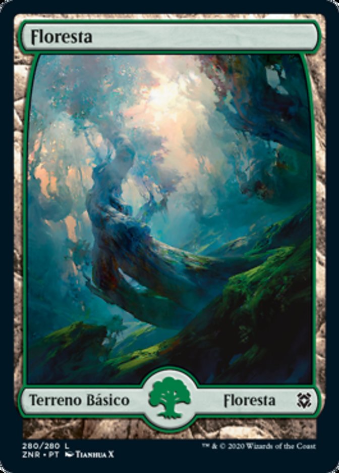 Floresta / Forest - Magic: The Gathering - MoxLand