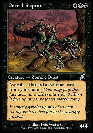 Raptor Pútrido / Putrid Raptor - Magic: The Gathering - MoxLand