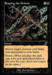 Violando os Túmulos / Reaping the Graves - Magic: The Gathering - MoxLand