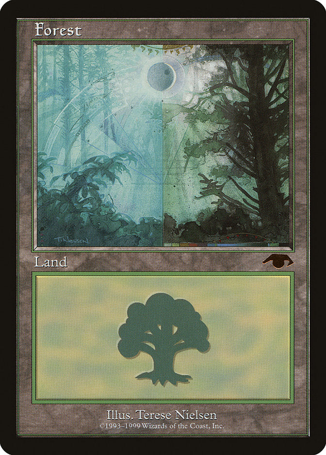 Floresta / Forest - Magic: The Gathering - MoxLand