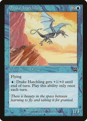 Cria de Dragonete / Drake Hatchling - Magic: The Gathering - MoxLand