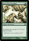 Força dos Carvalhos / Might of Oaks - Magic: The Gathering - MoxLand