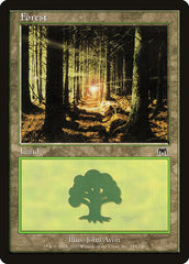 Floresta / Forest - Magic: The Gathering - MoxLand