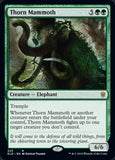 Thorn Mammoth / Thorn Mammoth