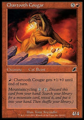 Puma Dentes-de-Carvão / Chartooth Cougar - Magic: The Gathering - MoxLand