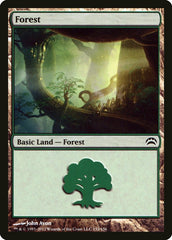 Floresta / Forest - Magic: The Gathering - MoxLand