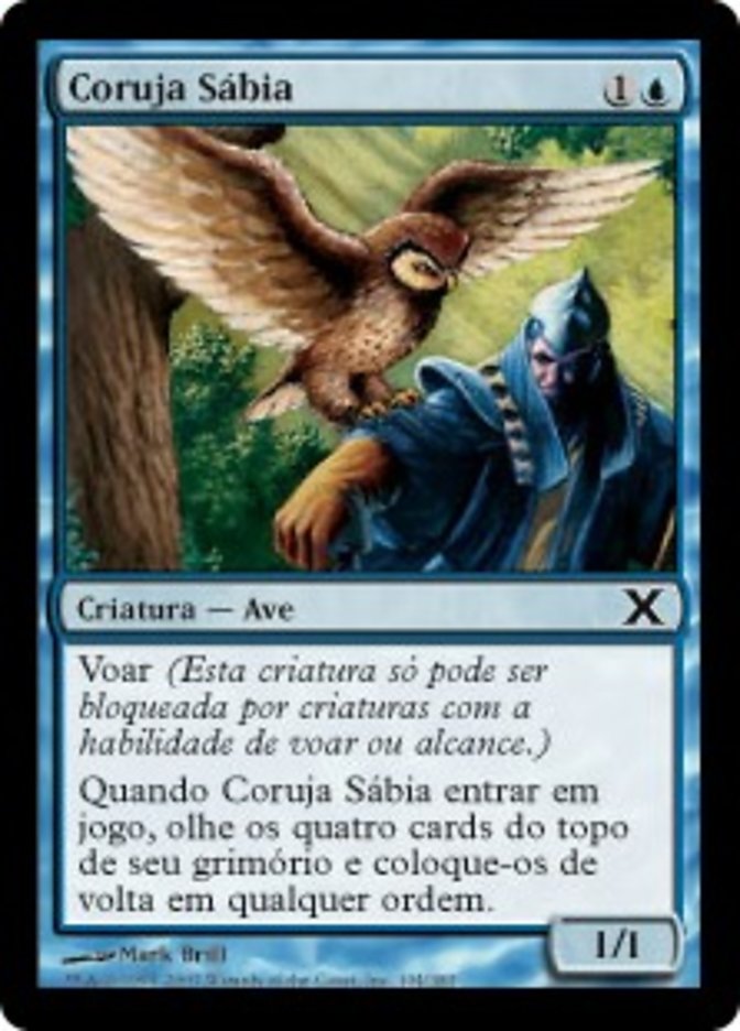 Coruja Sábia / Sage Owl - Magic: The Gathering - MoxLand