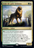 Leão-de-pele-brônzea / Bronzehide Lion