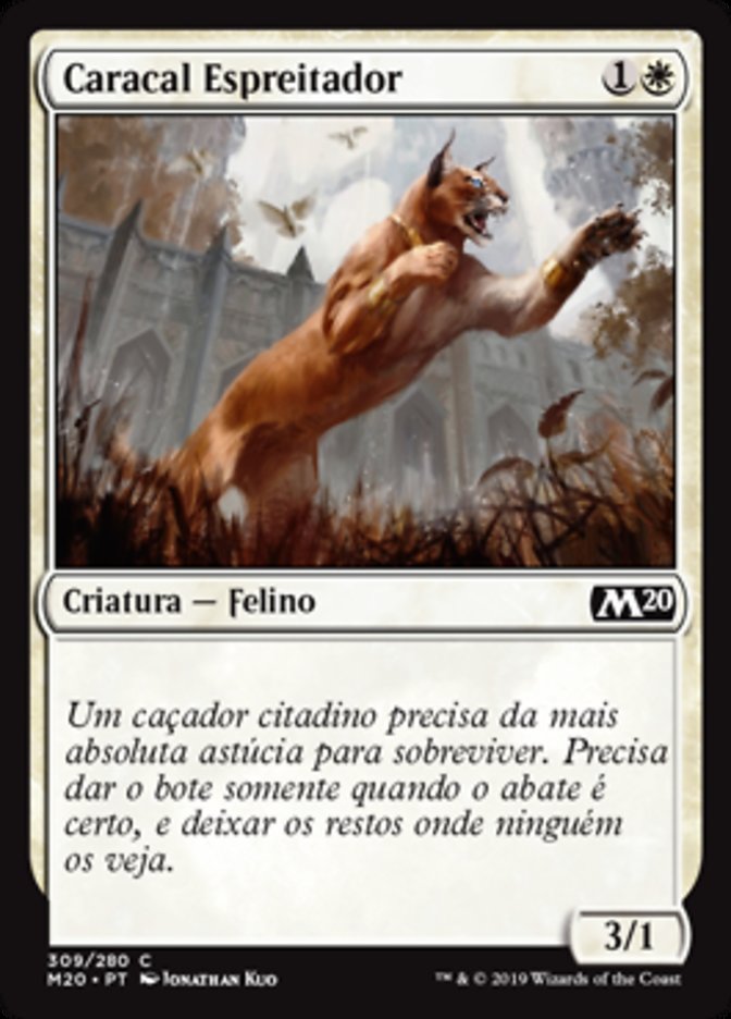 Caracal Espreitador / Prowling Caracal - Magic: The Gathering - MoxLand