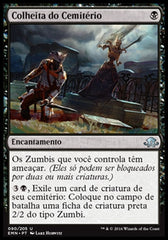 Colheita do Cemitério / Graf Harvest - Magic: The Gathering - MoxLand