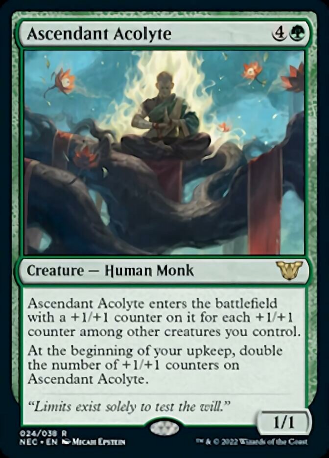 Acólito Ascendente / Ascendant Acolyte - Magic: The Gathering - MoxLand