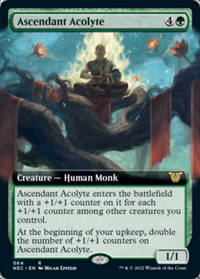 Acólito Ascendente / Ascendant Acolyte - Magic: The Gathering - MoxLand