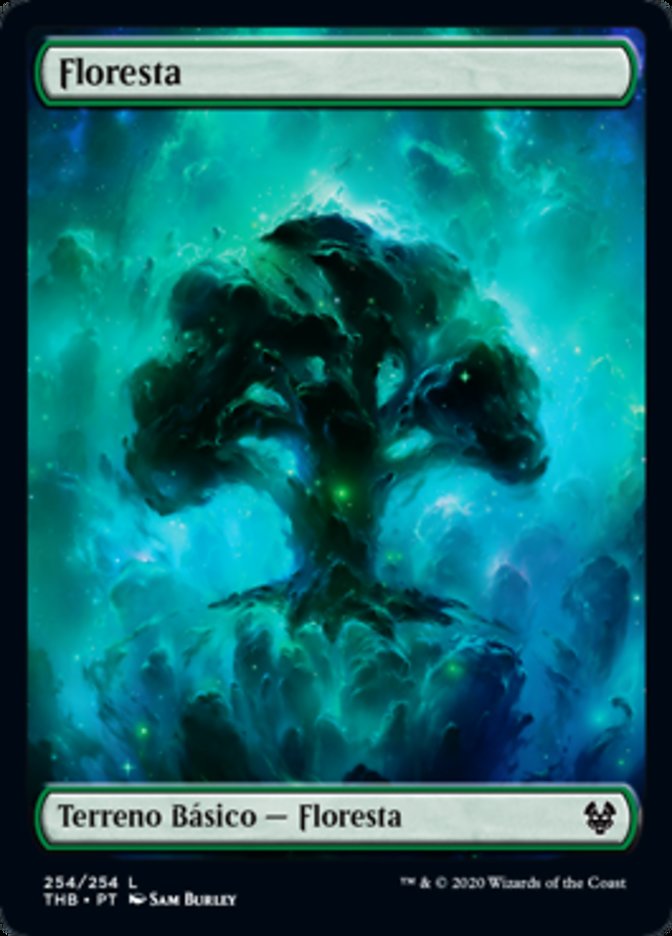 Floresta / Forest - Magic: The Gathering - MoxLand