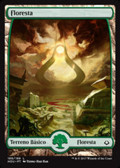 Floresta / Forest - Magic: The Gathering - MoxLand