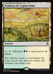 Pradaria de Capim Solar / Sungrass Prairie - Magic: The Gathering - MoxLand