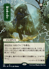 Resistir à Tempestade / Weather the Storm - Magic: The Gathering - MoxLand