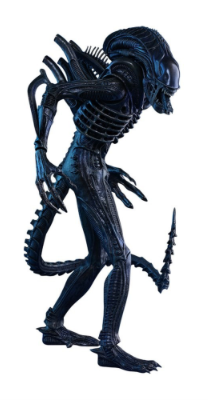 Alien Warrior - 1/6 Figure - HOT TOYS - MoxLand