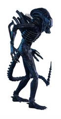 Alien Warrior - 1/6 Figure - HOT TOYS - MoxLand