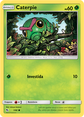 Caterpie - Pokémon TCG - MoxLand