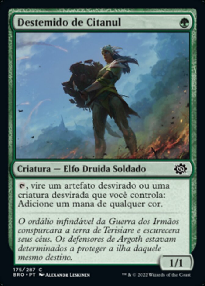 Destemido de Citanul / Citanul Stalwart - Magic: The Gathering - MoxLand