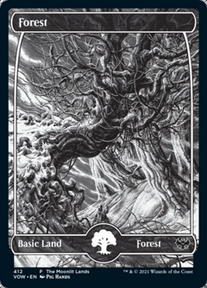 Floresta / Forest - Magic: The Gathering - MoxLand
