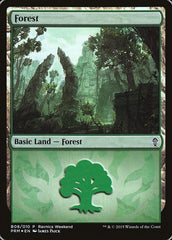 Floresta / Forest - Magic: The Gathering - MoxLand