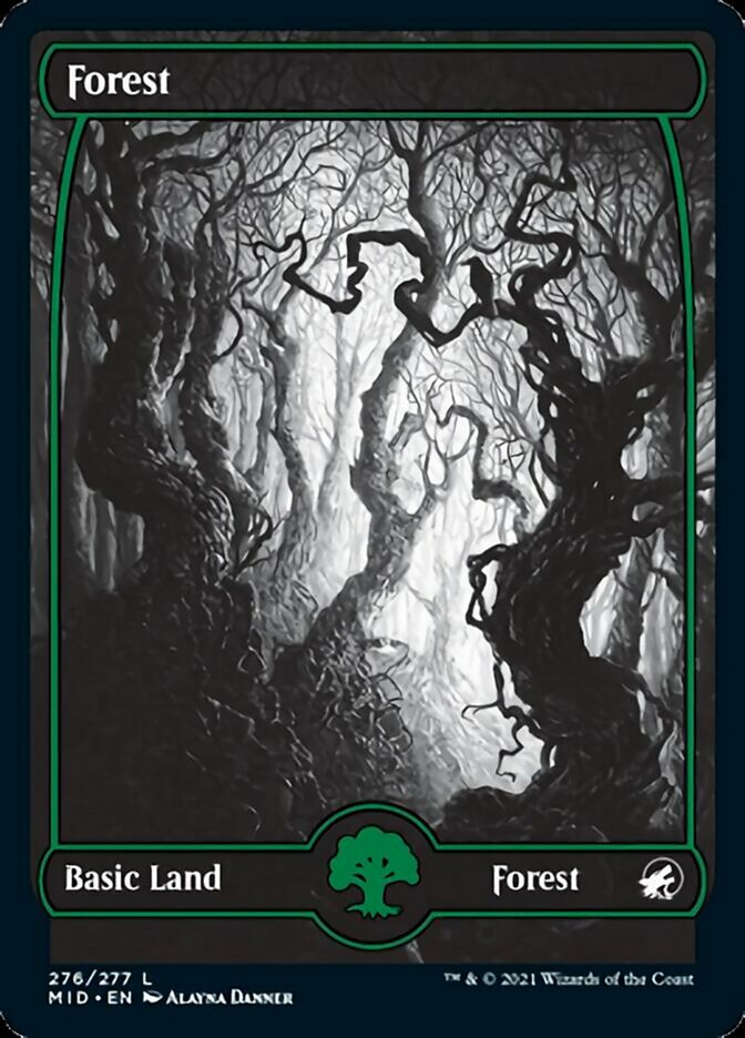 Floresta / Forest - Magic: The Gathering - MoxLand