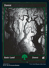 Floresta / Forest - Magic: The Gathering - MoxLand