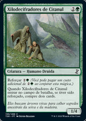 Xilodecifradores de Citanul / Citanul Woodreaders - Magic: The Gathering - MoxLand