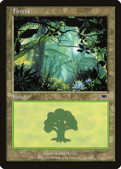 Floresta / Forest - Magic: The Gathering - MoxLand