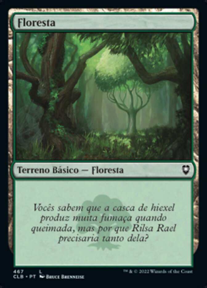 Floresta / Forest - Magic: The Gathering - MoxLand