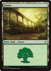 Floresta / Forest - Magic: The Gathering - MoxLand