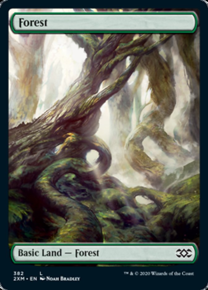 Floresta / Forest - Magic: The Gathering - MoxLand