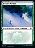 Floresta Nevada / Snow-Covered Forest - Magic: The Gathering - MoxLand