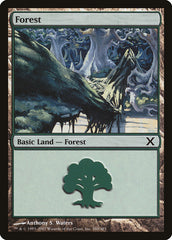 Floresta / Forest - Magic: The Gathering - MoxLand