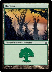 Floresta / Forest - Magic: The Gathering - MoxLand